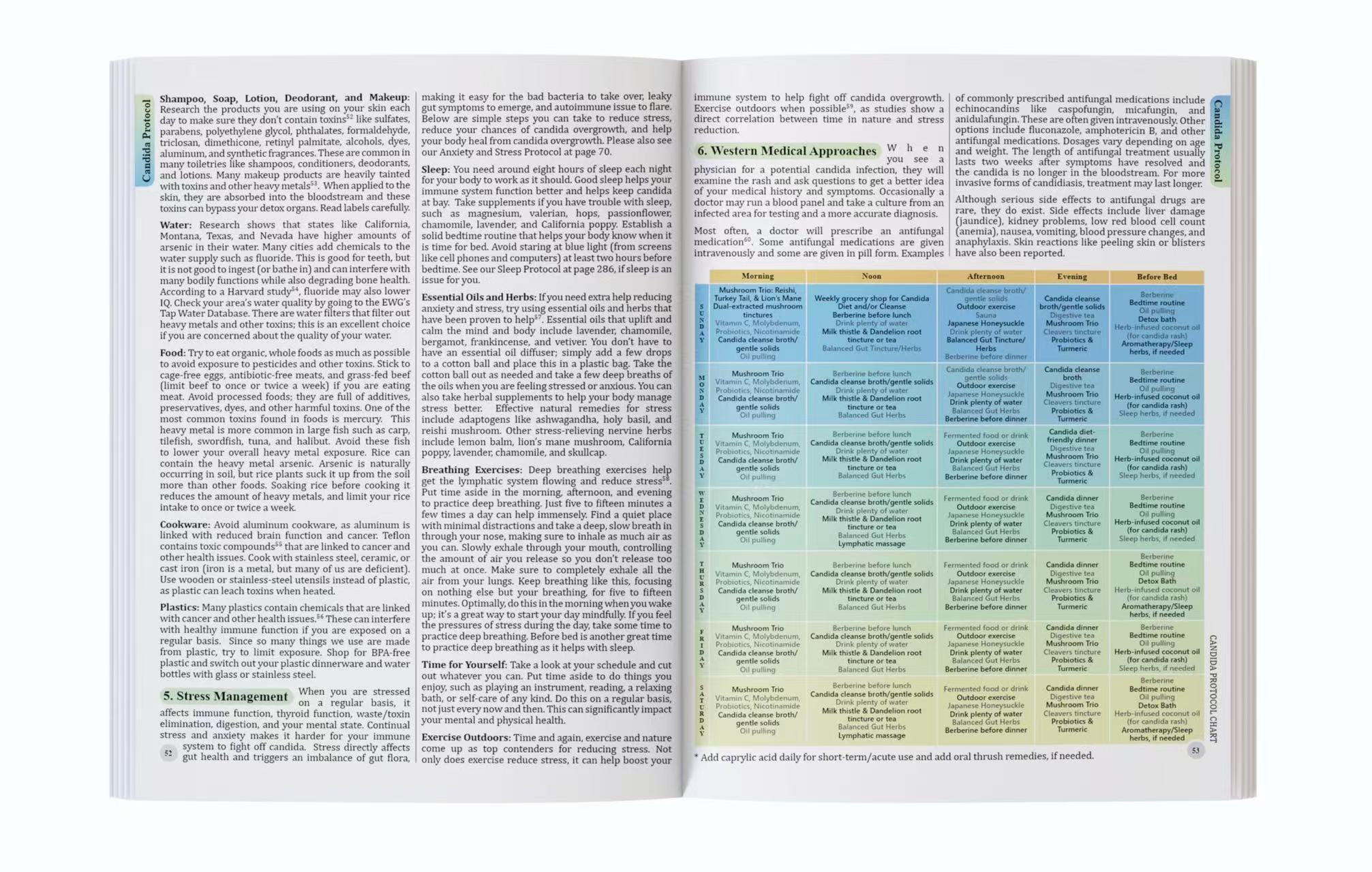 The Holistic Guide To Wellness - đánh giá và giá Herbal Wellness Book